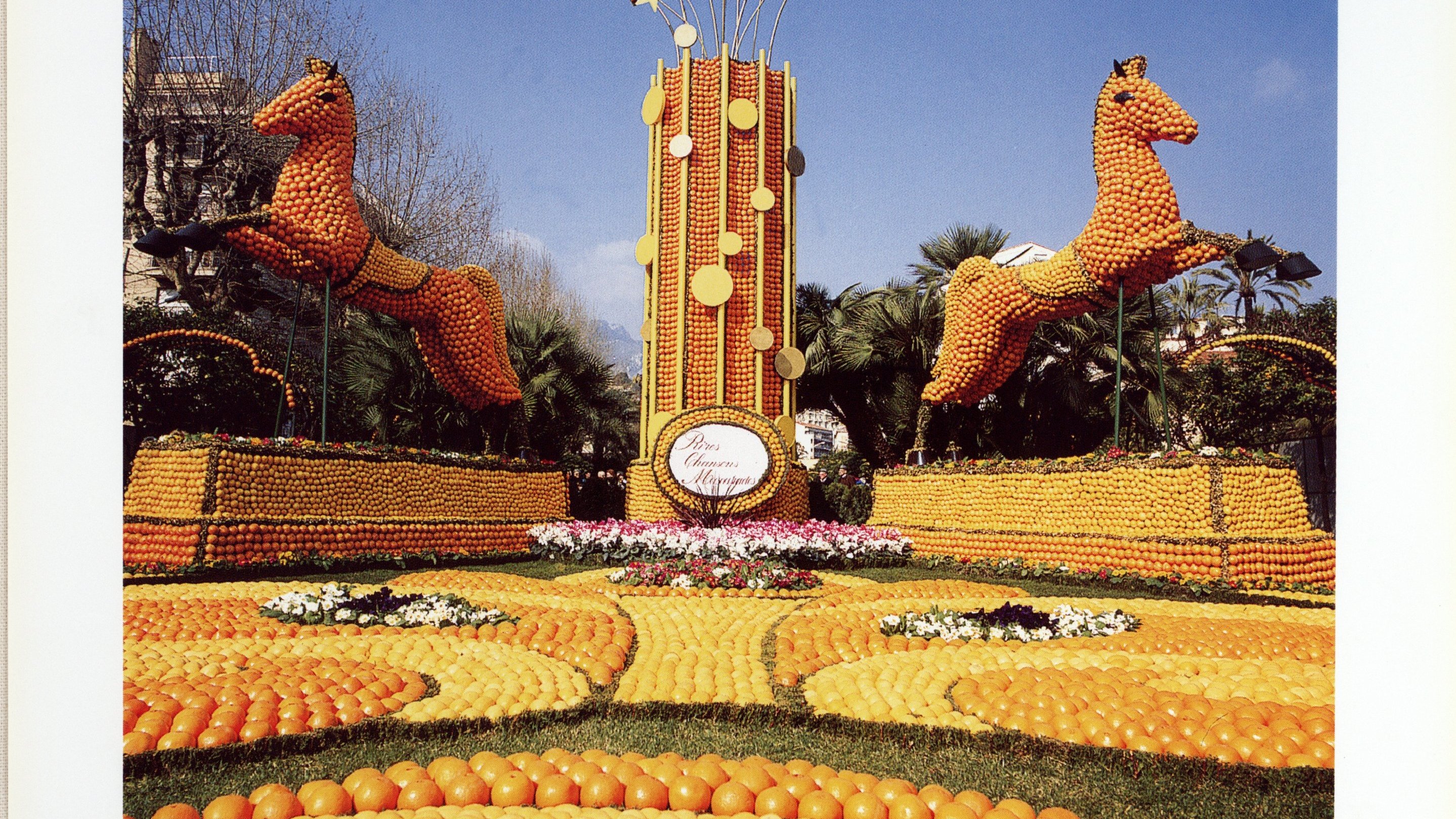 Illustration : Fête du citron® 1993