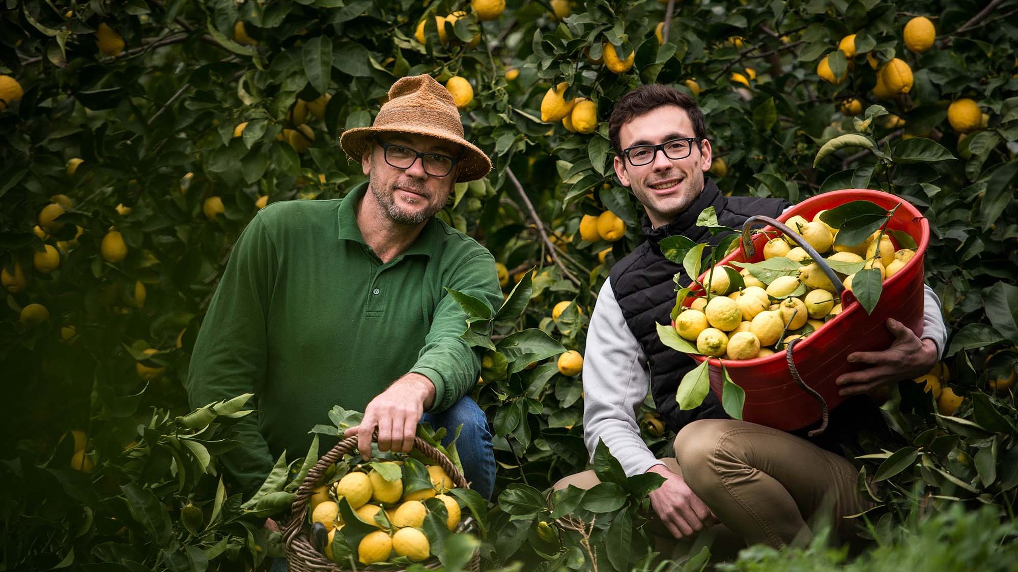 Illustration : Maison Gannac : Visite guidée & cueillette avec Laurent Gannac 