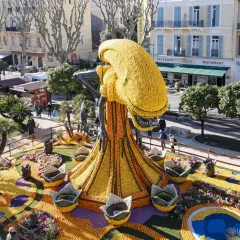 photographie Fête du Citron®