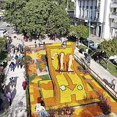 photographie Fête du Citron®