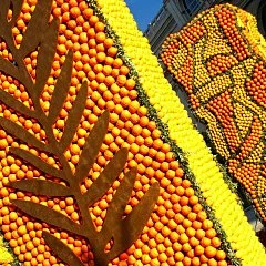 photographie Fête du Citron®