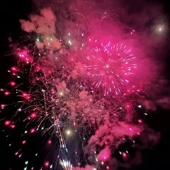 photographie Fête du Citron®