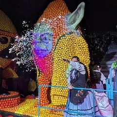photographie Fête du Citron®