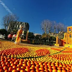 photographie Fête du Citron®