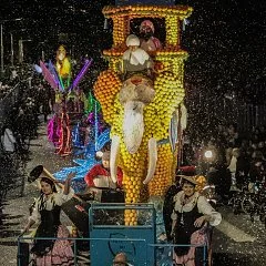 photographie Fête du Citron®