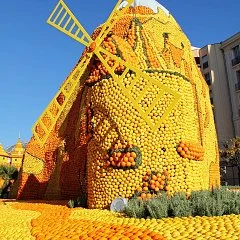 photographie Fête du Citron®