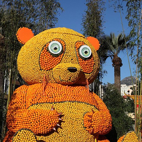 Exposition des motifs d'agrumes dans les jardins Biovès - Fête du Citron®