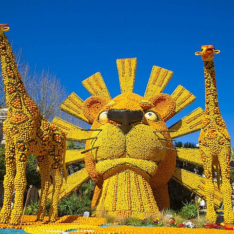 Exposition des motifs d'agrumes dans les jardins Biovès - Fête du Citron®