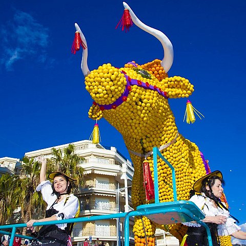 Corso des fruits d'or - Fête du Citron®