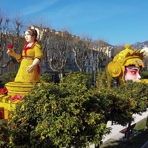 Exposition des motifs d'agrumes dans les jardins Biovès - 89ème Fête du Citron®