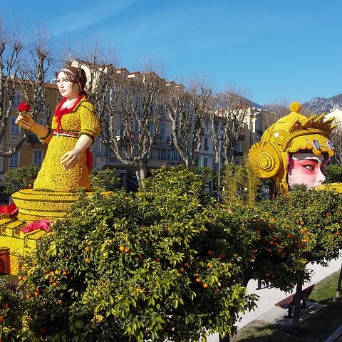 Exposition des motifs d'agrumes dans les jardins Biovès - 89ème Fête du Citron®