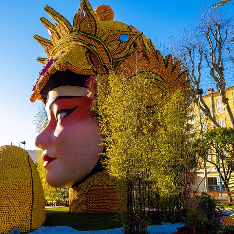 89ème Fête du Citron® - exposition des motifs d'agrumes