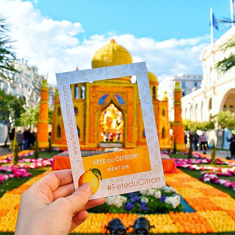 Exposition des motifs d'agrumes dans les jardins Biovès - Fête du Citron®