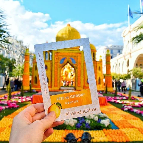 Exposition des motifs d'agrumes dans les jardins Biovès - Fête du Citron®