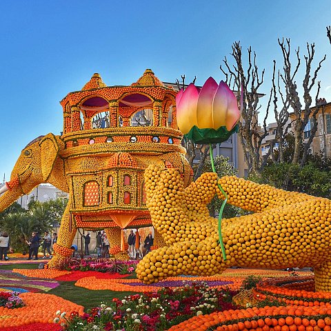 Exposition des motifs d'agrumes dans les jardins Biovès - Fête du Citron®
