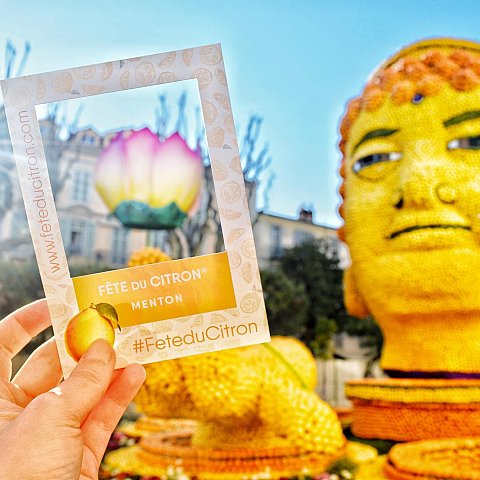 Exposition des motifs d'agrumes dans les jardins Biovès - Fête du Citron®