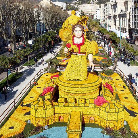Exposition des motifs d'agrumes dans les jardins Biovès - 89ème Fête du Citron®