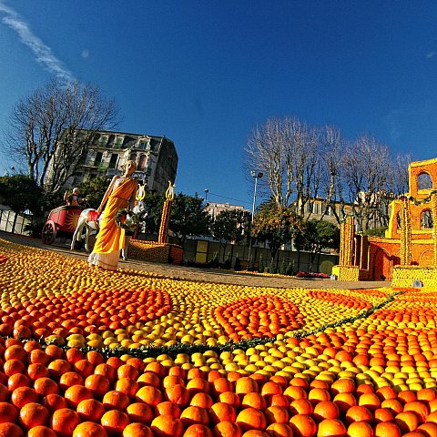 Exposition des motifs d'agrumes dans les jardins Biovès - Fête du Citron®