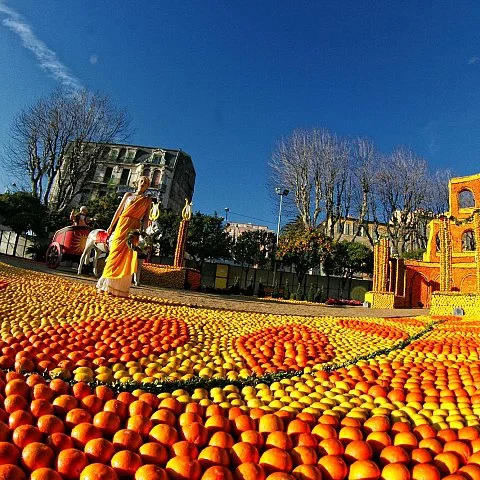 Exposition des motifs d'agrumes dans les jardins Biovès - Fête du Citron®