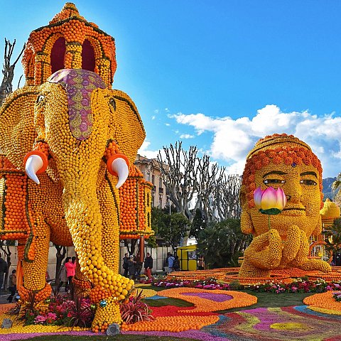 Exposition des motifs d'agrumes dans les jardins Biovès - Fête du Citron®