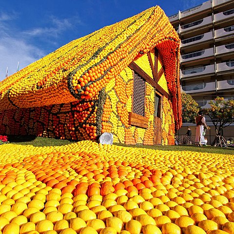 Exposition des motifs d'agrumes dans les jardins Biovès - Fête du Citron®