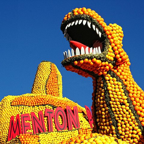 Exposition des motifs d'agrumes dans les jardins Biovès - Fête du Citron®