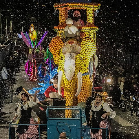 Corso nocturne - Fête du Citron®
