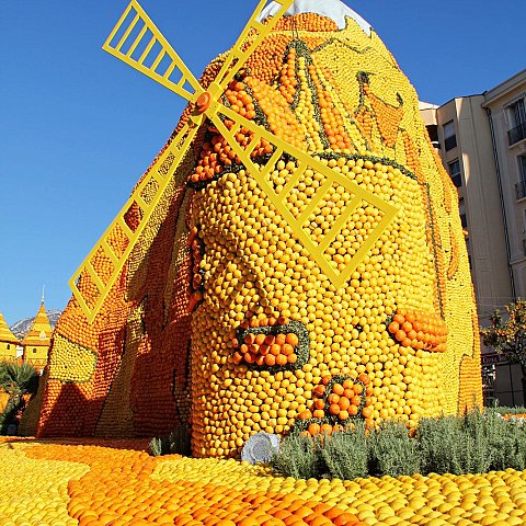 Exposition des motifs d'agrumes dans les jardins Biovès - Fête du Citron®