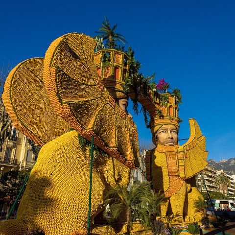 89ème Fête du Citron® - exposition des motifs d'agrumes