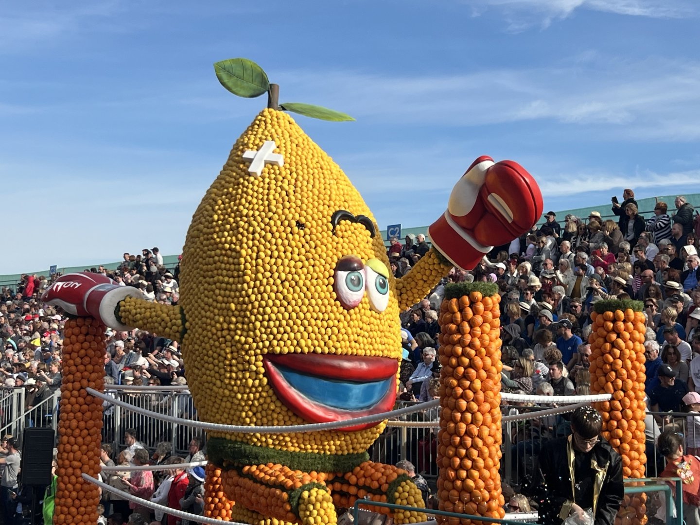 photographie Fête du Citron