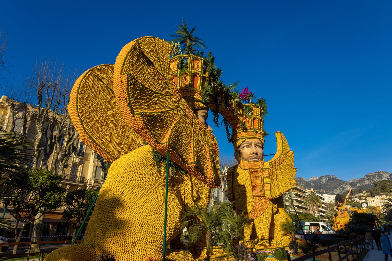 photographie Fête du Citron