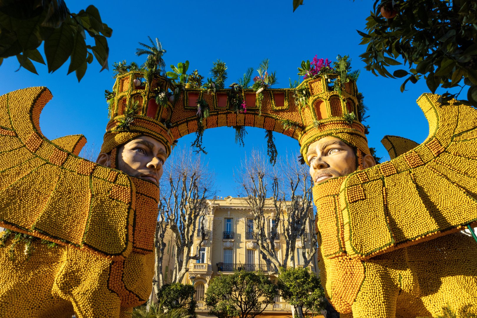 photographie Fête du Citron
