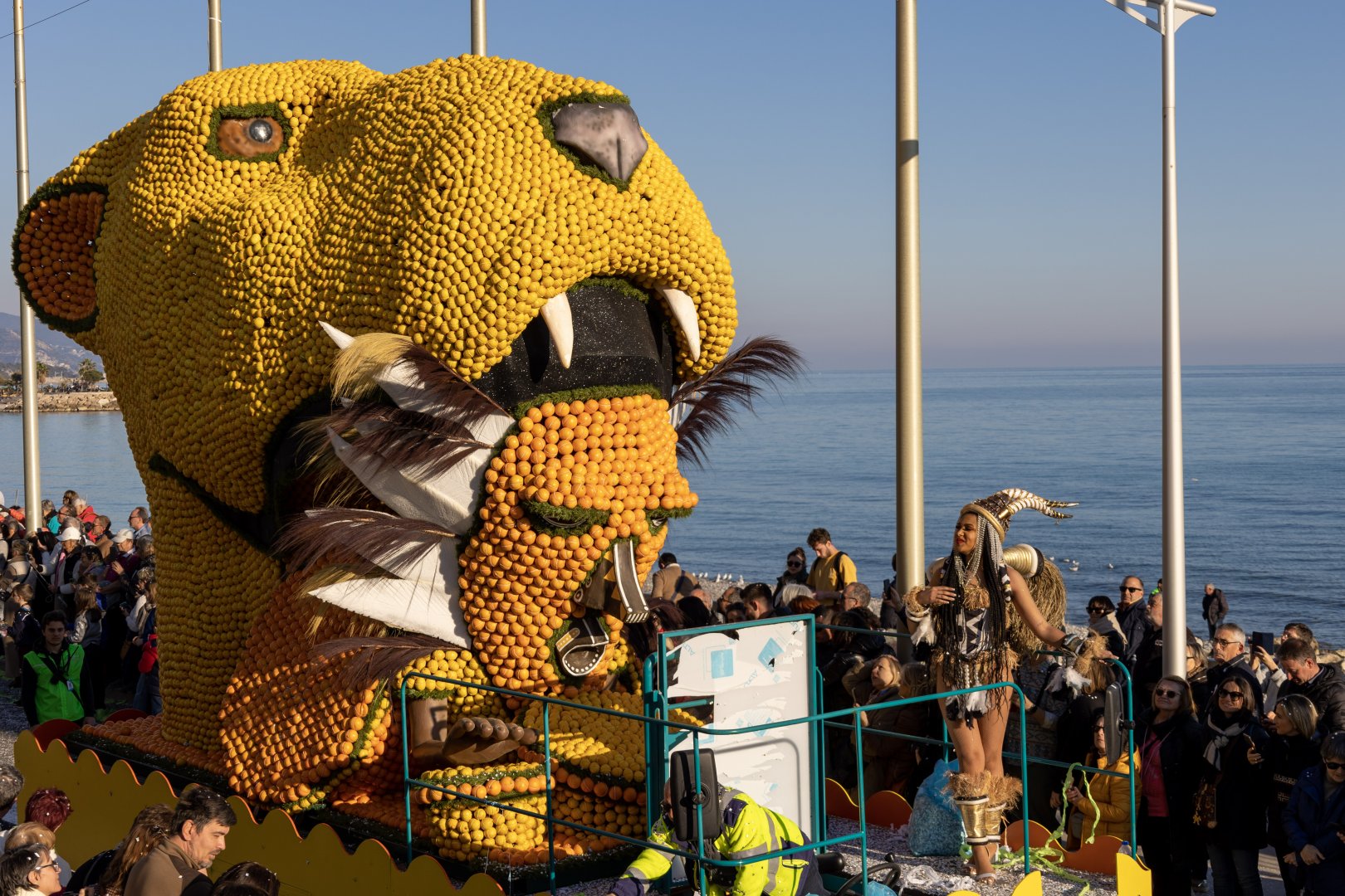 photographie Fête du Citron