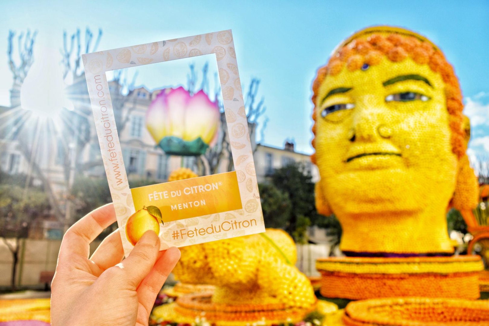 photographie Fête du Citron