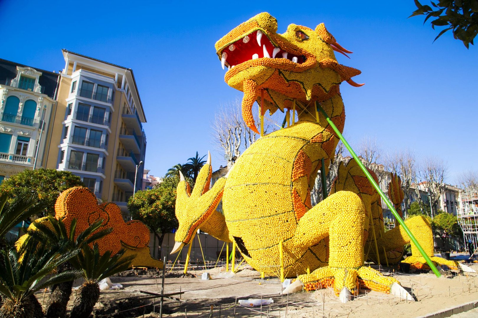 photographie Fête du Citron