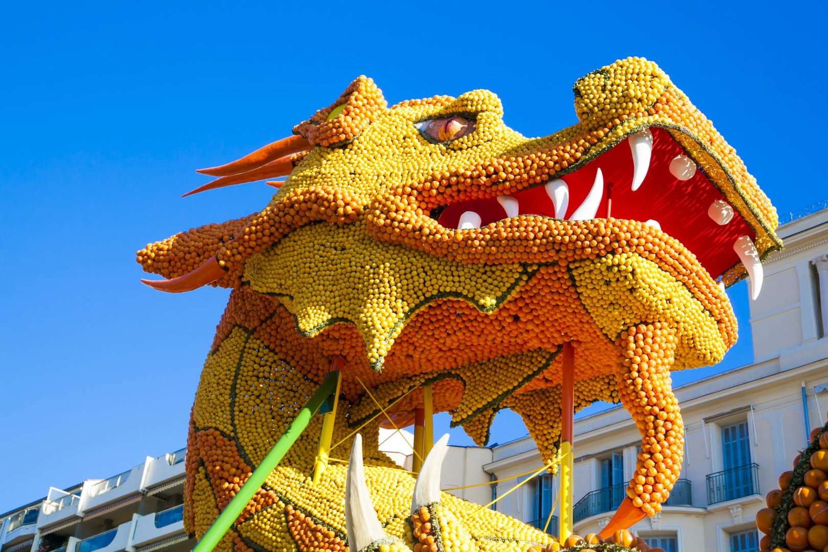 photographie Fête du Citron