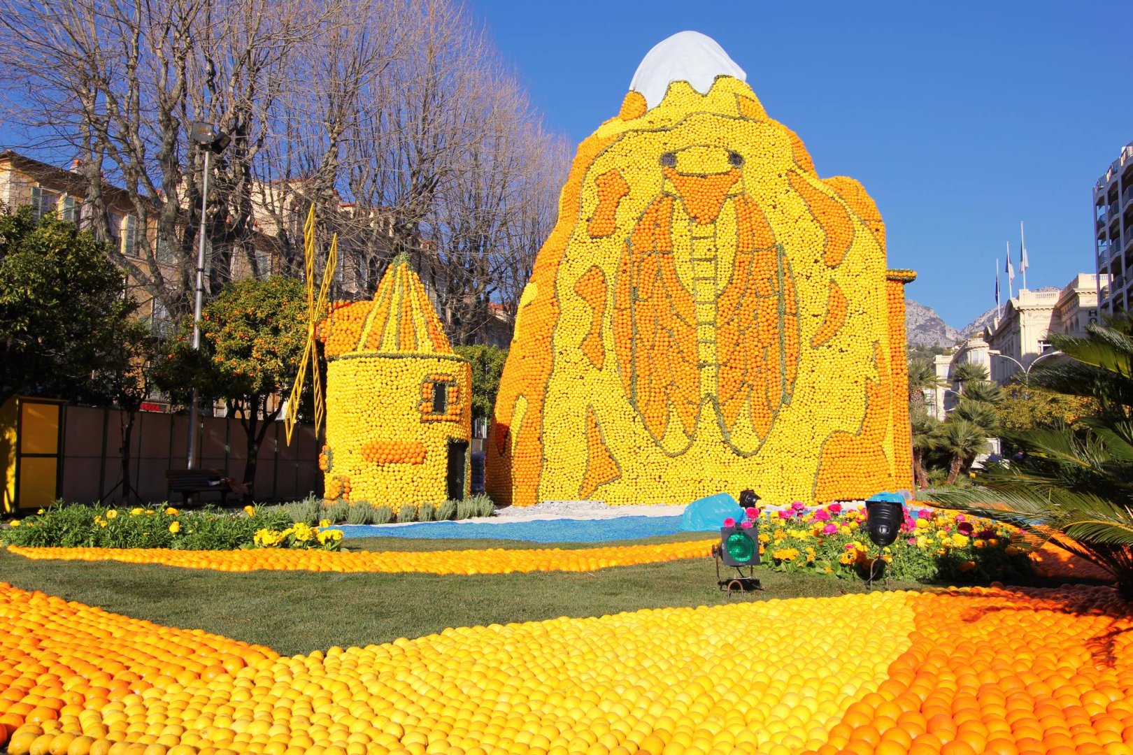 photographie Fête du Citron