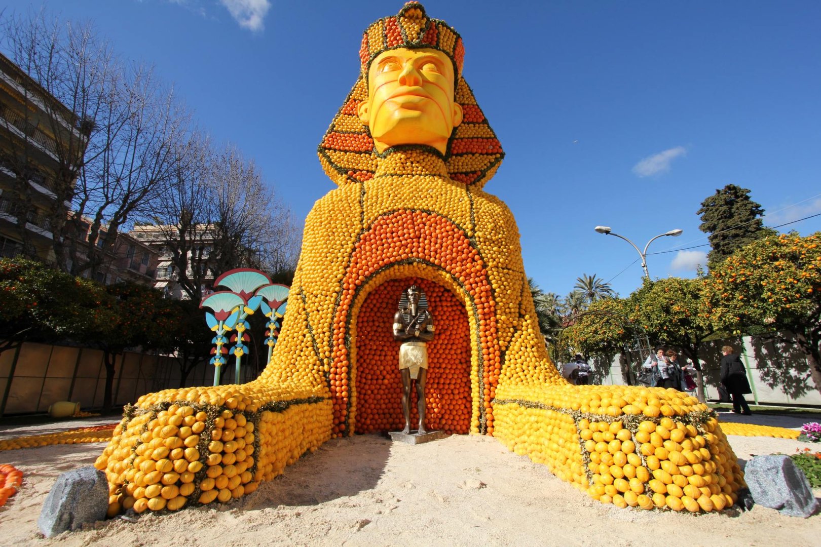 photographie Fête du Citron