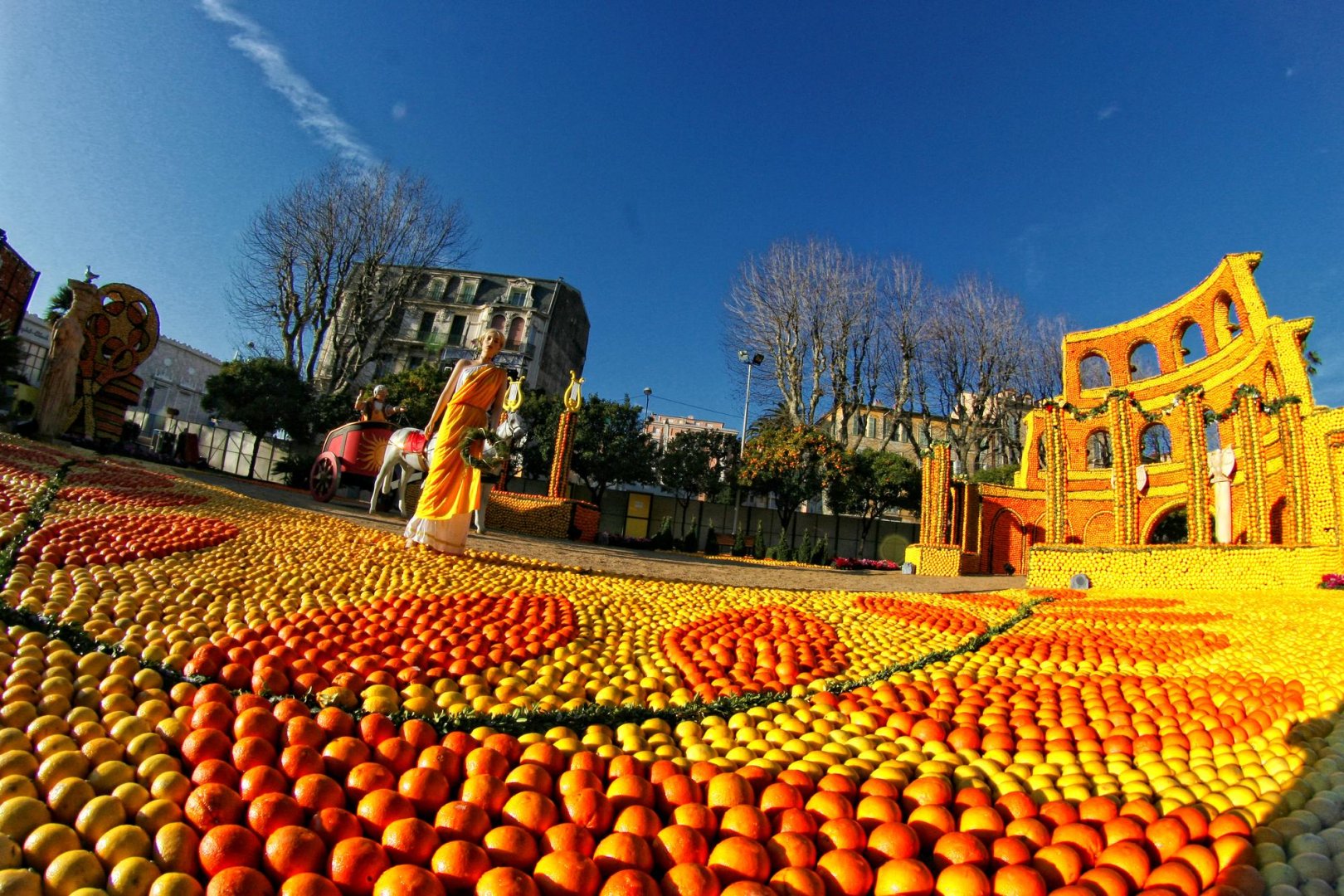 photographie Fête du Citron