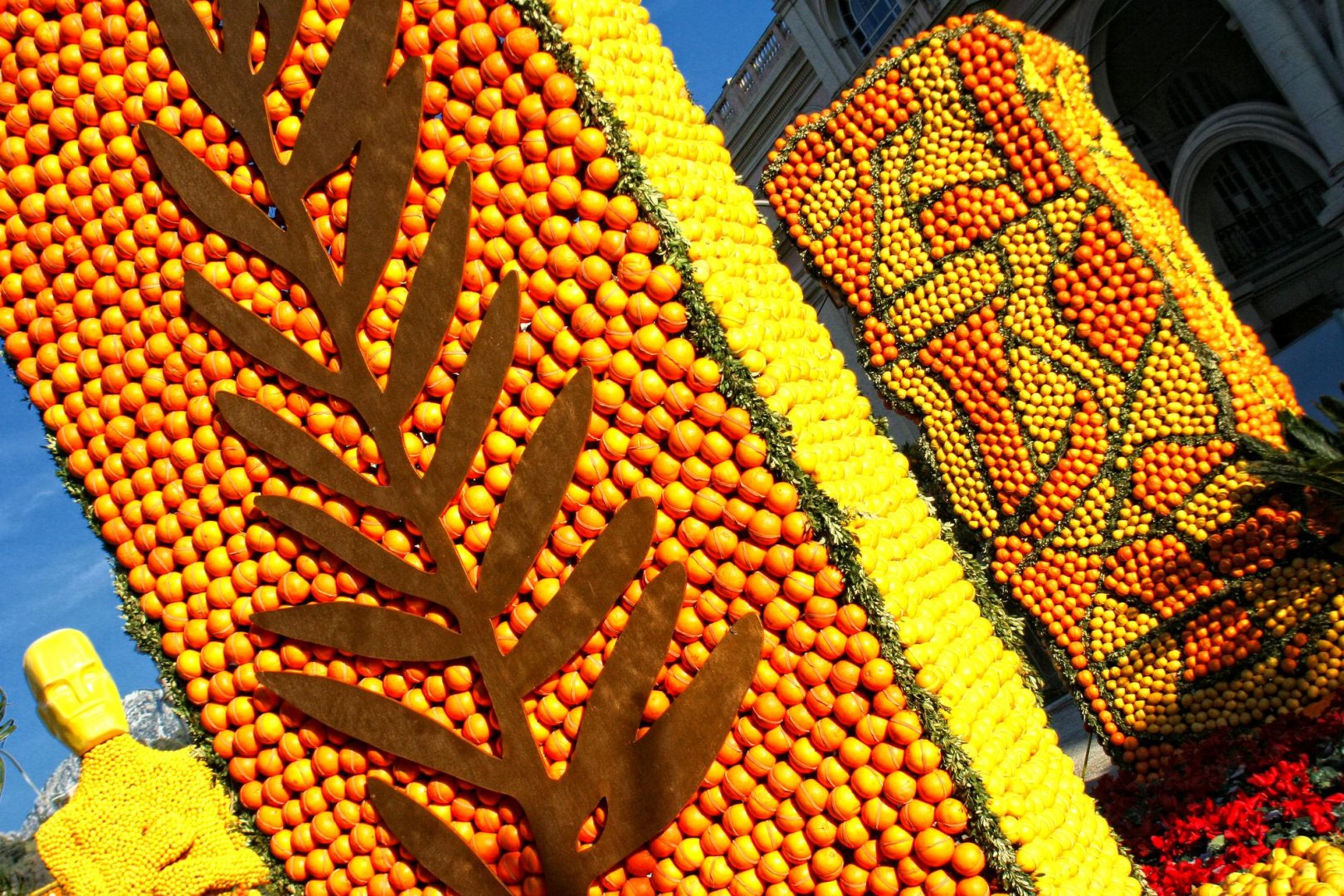 photographie Fête du Citron