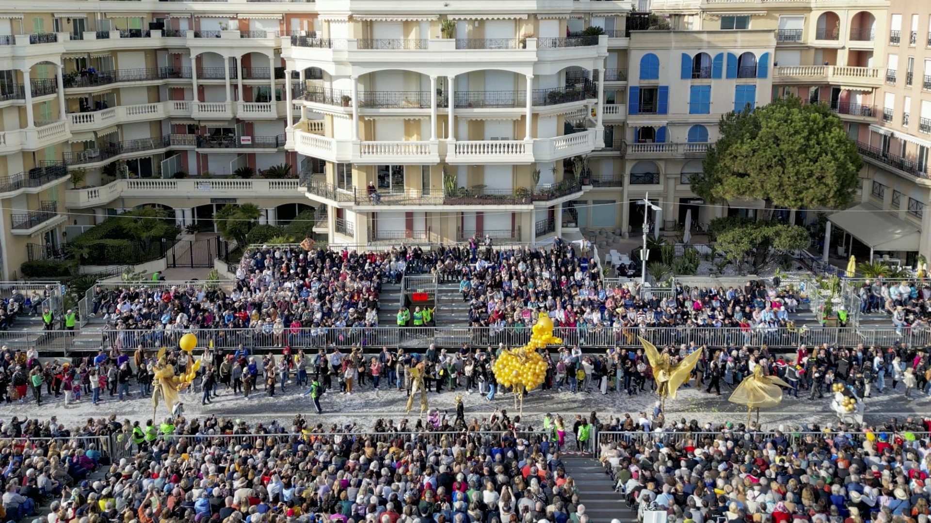 photographie Fête du Citron