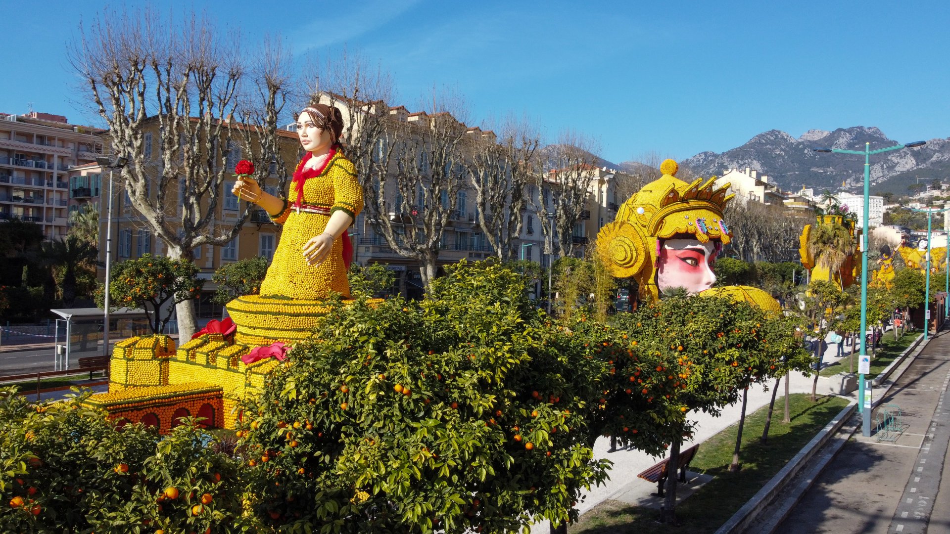 photographie Fête du Citron