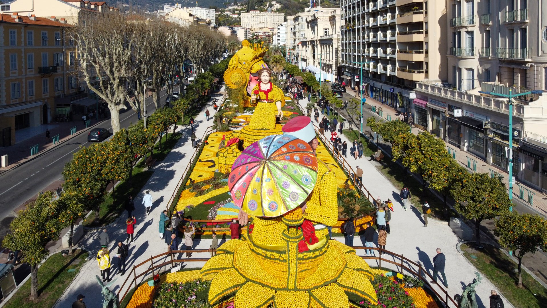 photographie Fête du Citron