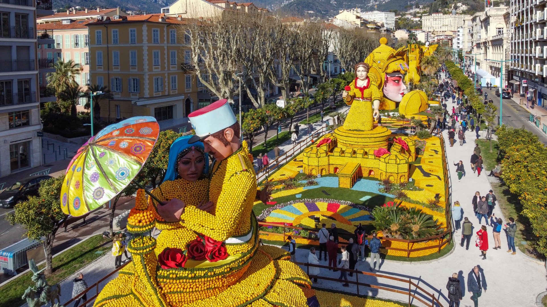 photographie Fête du Citron