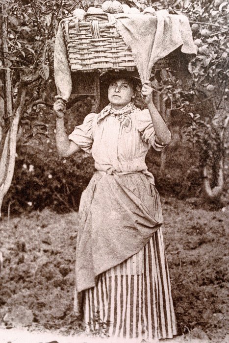 Fotografia d'epoca di una donna mentonasca in abito lungo con una grande cesta sulla testa