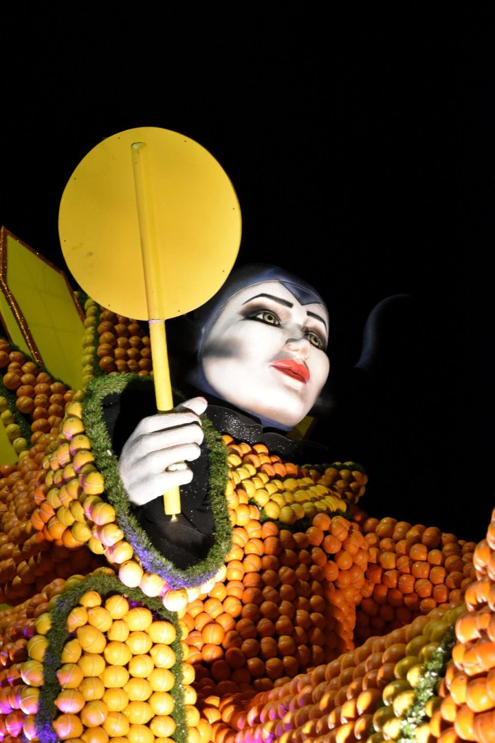 photographie Fête du Citron