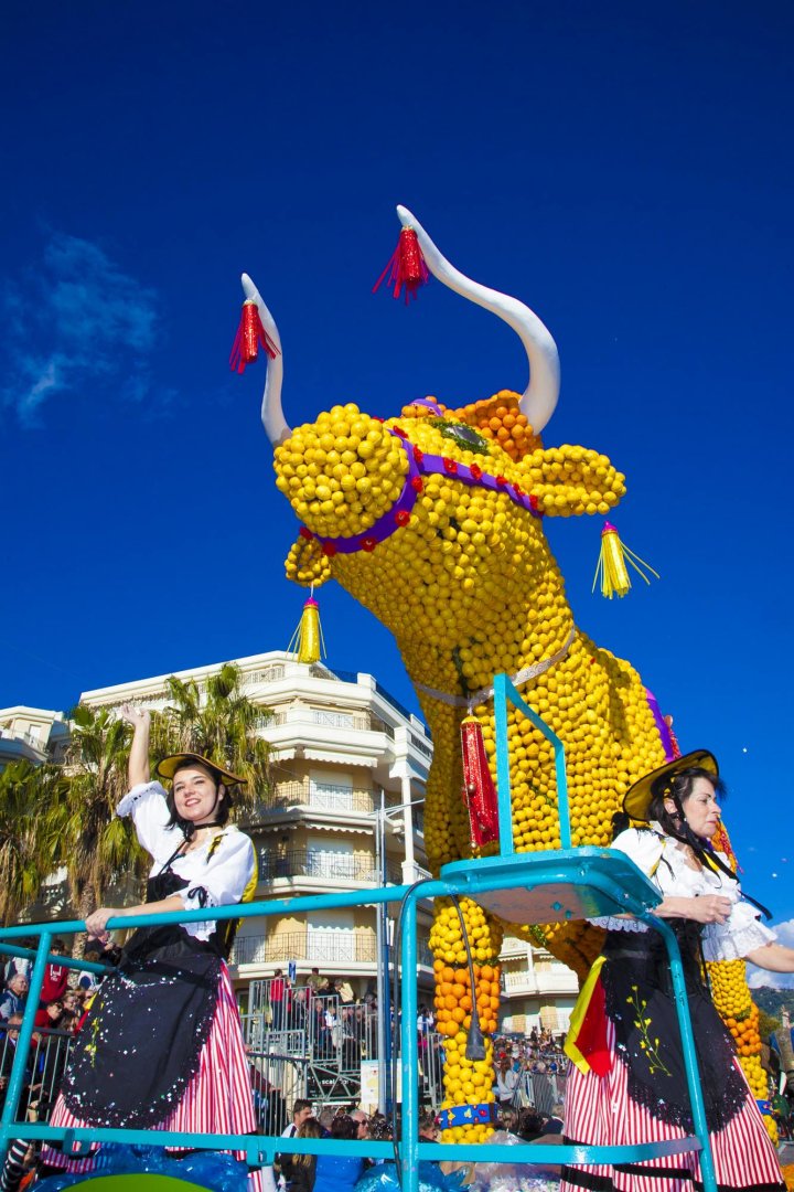 photographie Fête du Citron