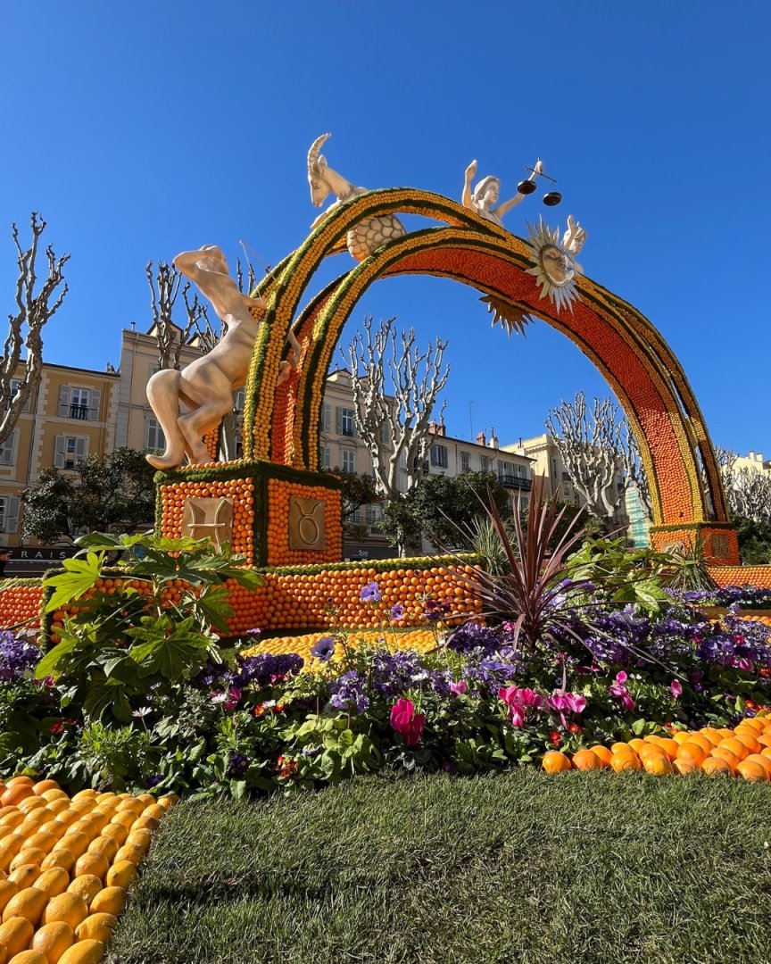 photographie Fête du Citron