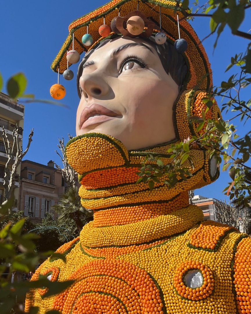 photographie Fête du Citron