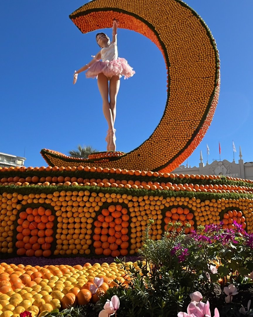 photographie Fête du Citron